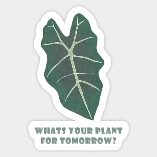 What is your plant for tomorrow? Sticker